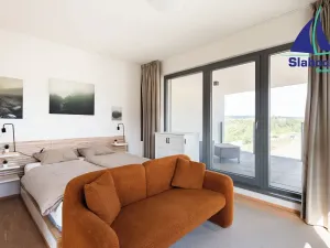 Pronájem bytu 1+kk, Praha - Karlín, Breitfeldova, 63 m2