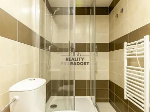 Pronájem bytu 1+kk, Brno, Hybešova, 21 m2