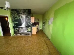 Prodej bytu 1+kk, Teplice, Seifertova, 31 m2