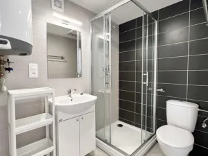Pronájem bytu 1+kk, Brno, Hybešova, 22 m2
