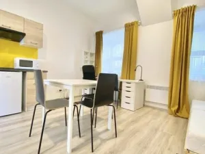 Pronájem bytu 1+kk, Brno, Václavská, 26 m2