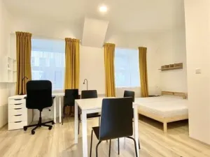 Pronájem bytu 1+kk, Brno, Václavská, 26 m2