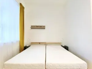Pronájem bytu 1+kk, Brno, Václavská, 26 m2
