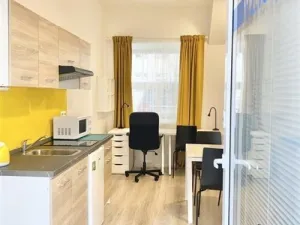 Pronájem bytu 1+kk, Brno, Václavská, 26 m2