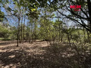 Prodej pozemku pro bydlení, Dubí - Drahůnky, 6184 m2