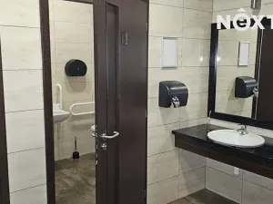 Pronájem obchodního prostoru, Tábor, U Čápova dvora, 450 m2