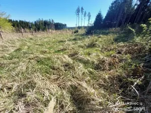Prodej lesa, Lukavec, 3571 m2