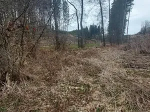 Prodej lesa, Dolní Hořice, 4440 m2
