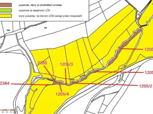 Prodej lesa, Dolní Hořice, 4440 m2