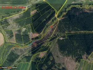 Prodej lesa, Dolní Hořice, 4440 m2