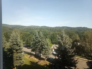 Prodej bytu 2+1, Velké Hamry, 53 m2