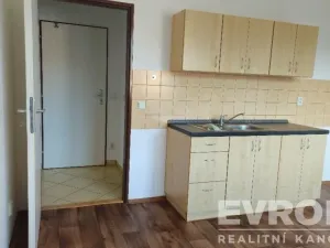 Pronájem bytu 1+kk, Mrsklesy, 21 m2