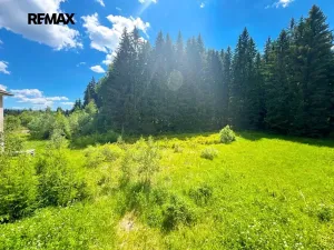 Prodej ubytování, Vimperk, 4000 m2