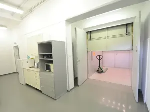 Pronájem skladu, Praha - Žižkov, Malešická, 70 m2