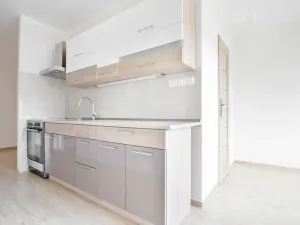 Pronájem bytu 2+1, Žatec, Družstevní, 67 m2
