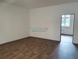 Pronájem bytu 2+kk, Sudkov, 67 m2