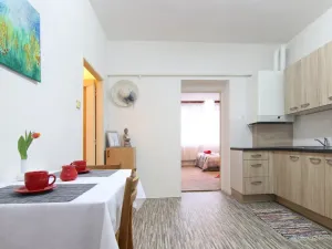 Pronájem bytu 1+1, Vyškov, Žižkova, 36 m2