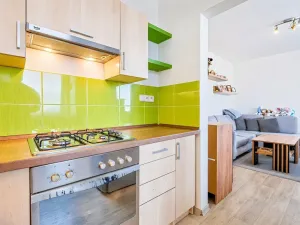 Prodej bytu 2+1, Mohelnice, Nová, 47 m2