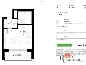 Prodej bytu 1+kk, Plzeň - Jižní Předměstí, Železná, 46 m2
