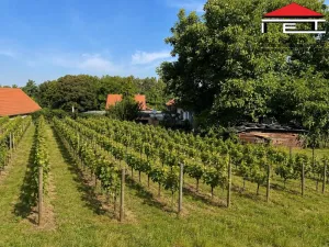 Prodej ubytování, Dobřichov, 250 m2