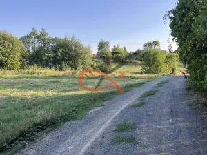 Prodej louky, Lešná, 2325 m2