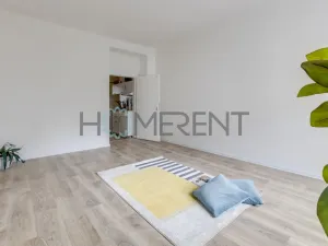 Pronájem bytu 2+1, Praha - Žižkov, Jeseniova, 44 m2