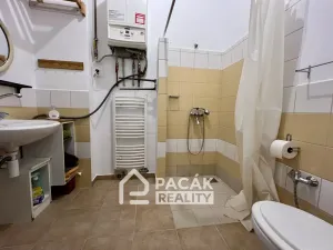 Pronájem bytu 3+1, Olomouc, Wolkerova, 72 m2