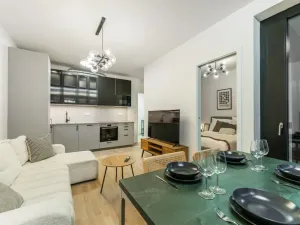 Prodej bytu 2+kk, Praha - Žižkov, Kaplířova, 45 m2