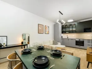 Prodej bytu 2+kk, Praha - Žižkov, Kaplířova, 45 m2
