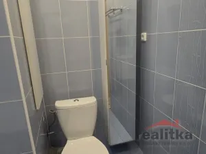 Prodej bytu 2+1, Opava - Předměstí, Haškova, 52 m2