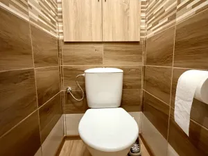 Pronájem bytu 2+1, Tachov, Jana Sladkého Koziny, 50 m2