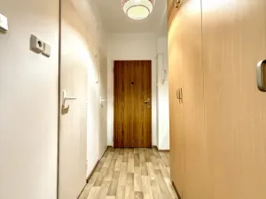 Pronájem bytu 2+1, Tachov, Jana Sladkého Koziny, 50 m2