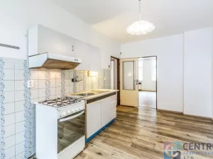 Prodej bytu 1+1, Mladá Boleslav - Mladá Boleslav III, S. K. Neumanna, 46 m2