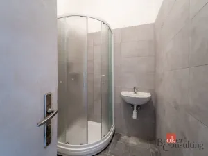 Prodej atypického bytu, Blansko, 309 m2