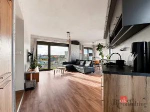 Pronájem bytu 2+kk, Plzeň - Východní Předměstí, Papírnická, 63 m2
