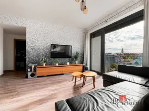 Pronájem bytu 2+kk, Plzeň - Východní Předměstí, Papírnická, 63 m2