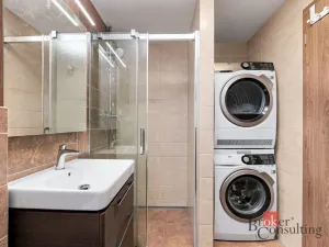 Pronájem bytu 2+kk, Plzeň - Východní Předměstí, Papírnická, 63 m2