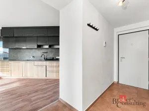 Pronájem bytu 2+kk, Plzeň - Východní Předměstí, Papírnická, 63 m2