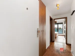 Pronájem bytu 2+kk, Plzeň - Východní Předměstí, Papírnická, 63 m2