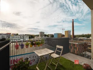 Pronájem bytu 2+kk, Plzeň - Východní Předměstí, Papírnická, 63 m2