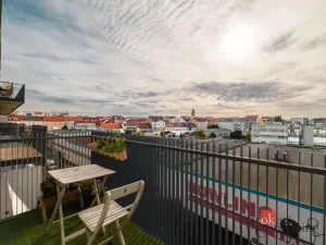 Pronájem bytu 2+kk, Plzeň - Východní Předměstí, Papírnická, 63 m2