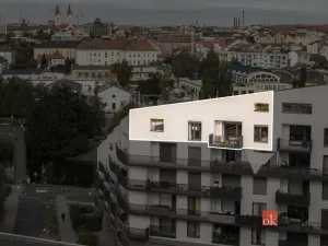 Pronájem bytu 2+kk, Plzeň - Východní Předměstí, Papírnická, 63 m2