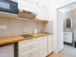 Pronájem bytu 1+kk, Praha - Nové Město, Ječná, 30 m2