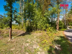 Prodej pozemku pro bydlení, Červená Voda, 2103 m2