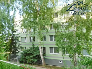 Pronájem bytu 2+kk, Králův Dvůr, Nad Stadionem, 39 m2