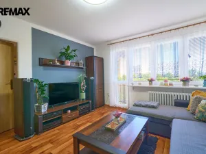 Prodej bytu 3+1, Hradec Králové - Slezské Předměstí, Severní, 63 m2