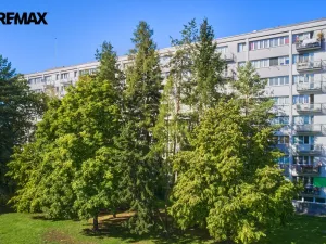 Prodej bytu 3+1, Hradec Králové - Slezské Předměstí, Severní, 63 m2