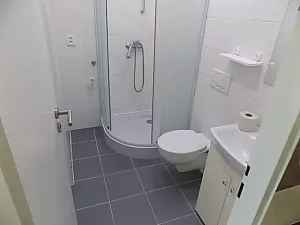 Pronájem bytu 1+kk, Prostějov, 35 m2