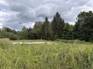 Prodej pozemku pro bydlení, Dětřichov, 1778 m2