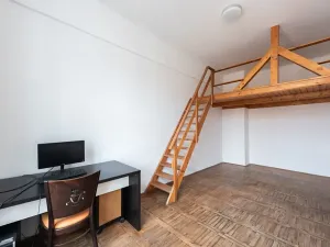 Prodej bytu 2+kk, Praha - Karlín, Jirsíkova, 45 m2